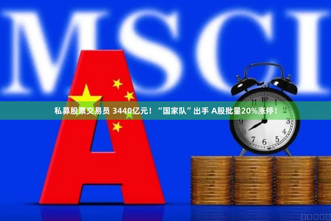 私募股票交易员 3440亿元！“国家队”出手 A股批量20%涨停！