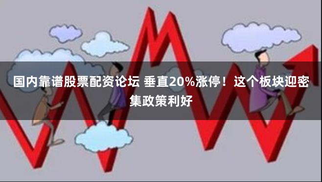 国内靠谱股票配资论坛 垂直20%涨停！这个板块迎密集政策利好