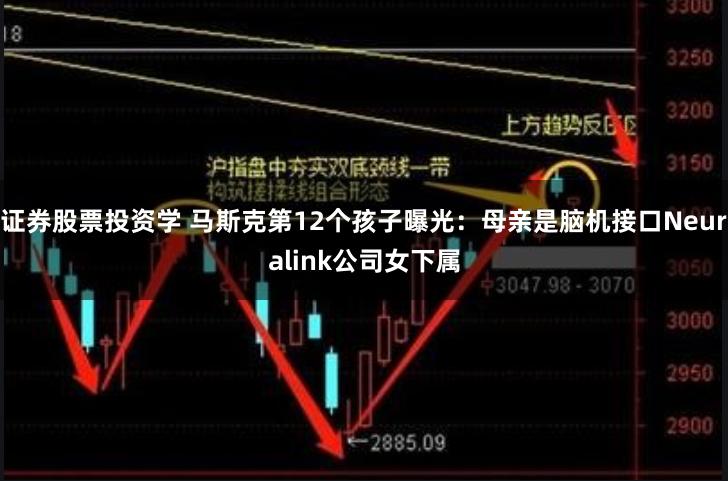 证券股票投资学 马斯克第12个孩子曝光：母亲是脑机接口Neuralink公司女下属